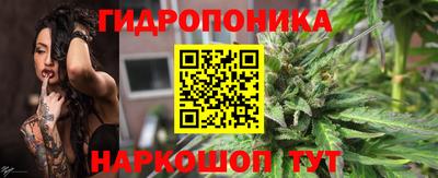 прущий лед Гай