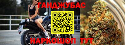 спайс Гагарин