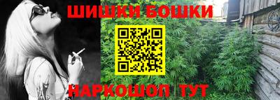 спайс Гагарин