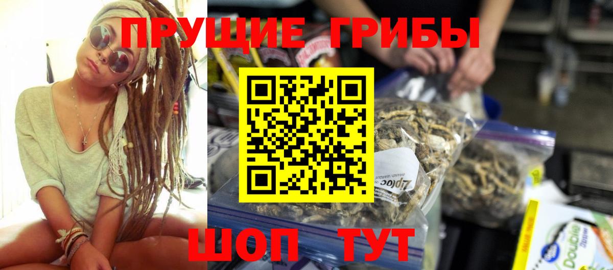 Галлюциногенные грибы GOLDEN TEACHER  где продают наркотики  Вход с VPN  Подольск  Псилоцибиновые грибы Magic Shrooms 